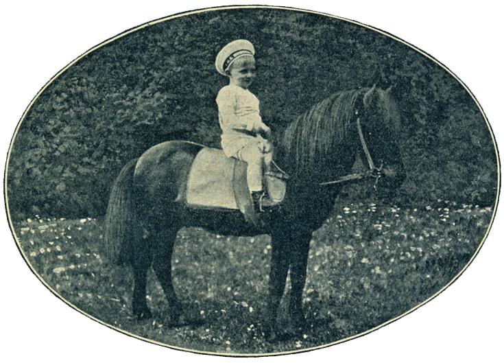 prinz-wilhelm_pony