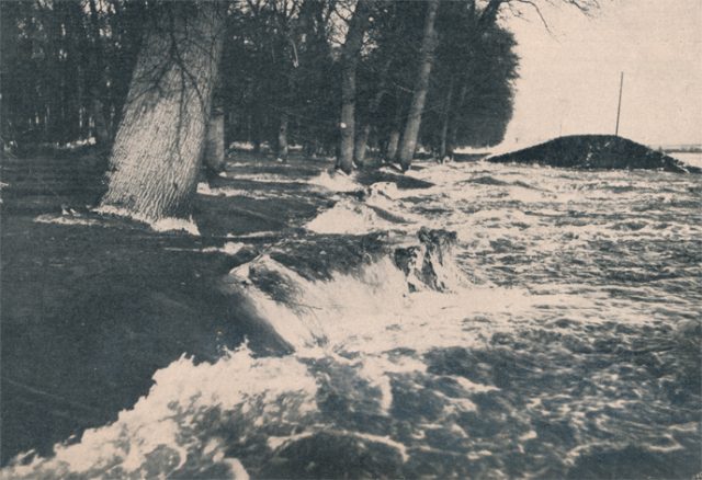 daheim-09_h22-s03_elbdeich-02_150dpi daheim-09_h22-s03_elbdeich-02_150dpi