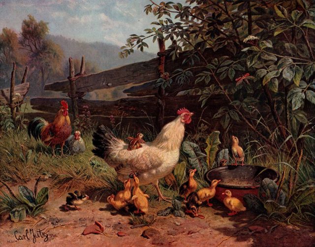 gartenlaube_09-s.333-maikaferjagd_