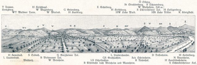 hohenprofil-odenwald-neu_einzelbild hohenprofil-odenwald-neu_einzelbild