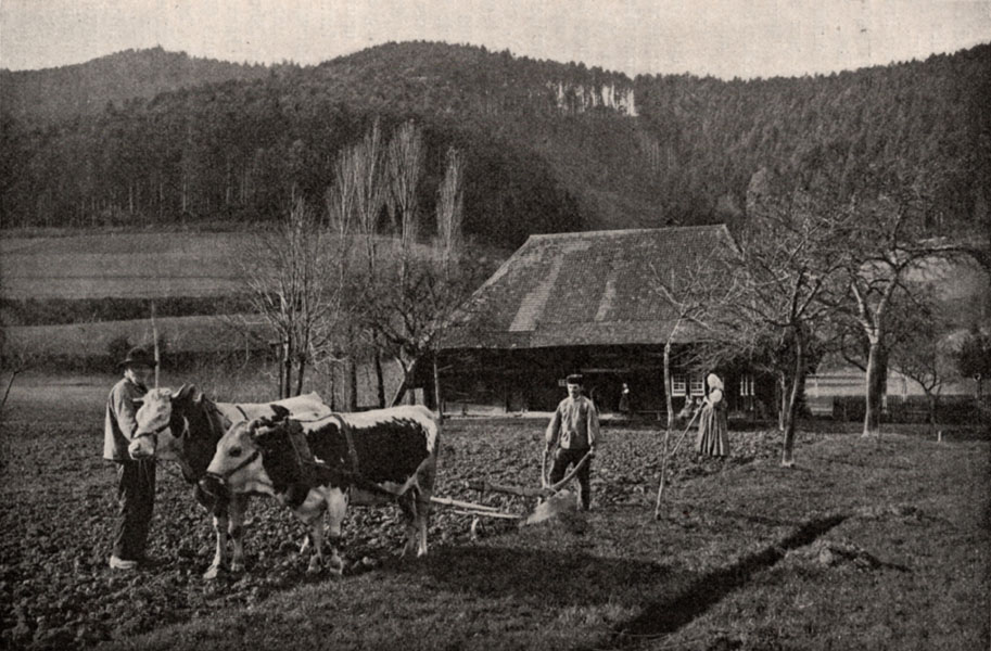 s.5feldbestellung-schwarzwald s.5feldbestellung-schwarzwald