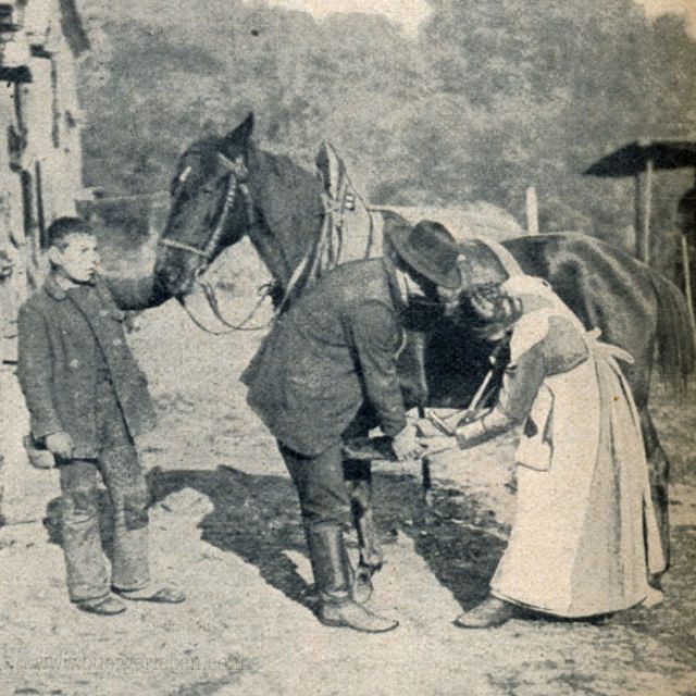 1.schmiedin_-sz-08_09-s.952