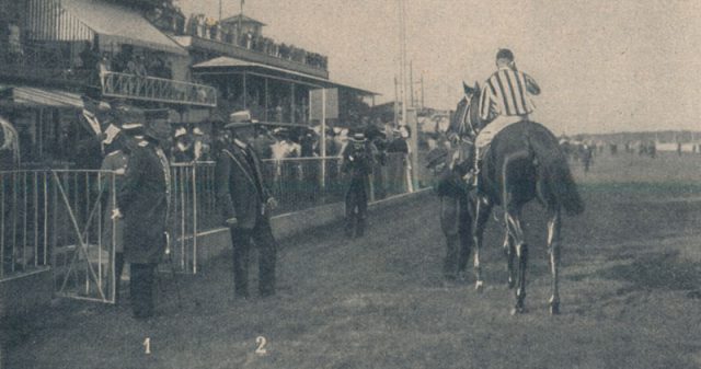 sz08_09-s.1237-rennwoche sz08_09-s.1237-rennwoche