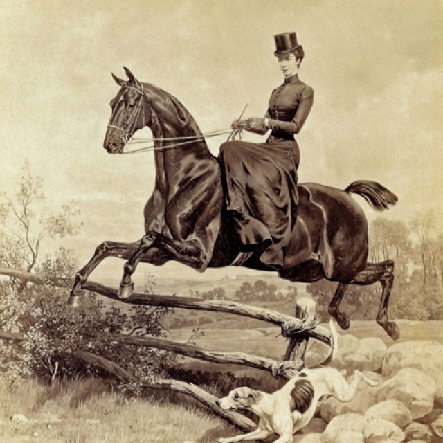 sisi-reiterin-ii sisi-reiterin-ii