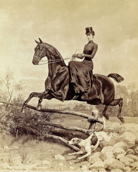 sisi-reiterin-ii sisi-reiterin-ii