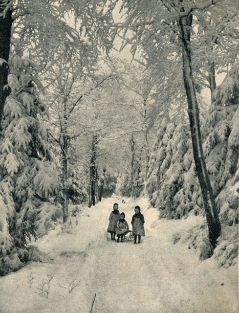 gl-09-s.-1064-madchen-im-winterwald gl-09-s.-1064-madchen-im-winterwald