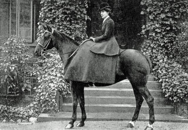 sitz-damensattel-foto