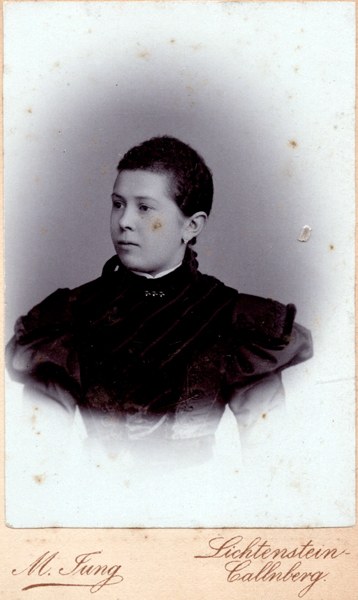 m.-fung-lichtenstein-callnberg-2. m.-fung-lichtenstein-callnberg-2.