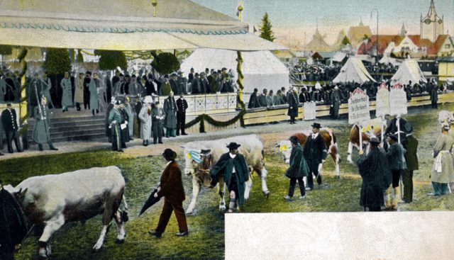 pk-der-prinzregent-besichtigt-das-preisvieh-beim-oktoberfest pk-der-prinzregent-besichtigt-das-preisvieh-beim-oktoberfest