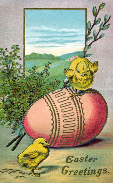 oster-pk-kucken-sitzt-auf-rotem-ei-das-andere-daneben-hintergrund-felder-englisch