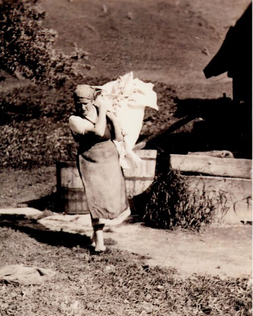 08_sellrainer-wscherin 08_sellrainer-wscherin