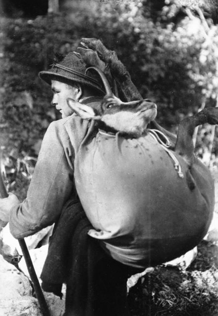 19_gmsjger-werdenfelser-land 19_gmsjger-werdenfelser-land