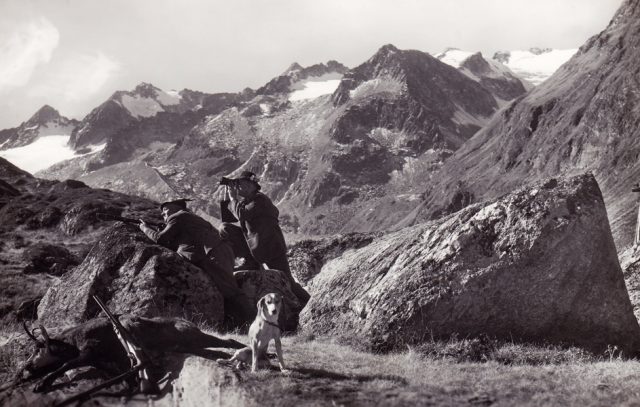 20_tiroler-gamsjger-zillertaler-alpen 20_tiroler-gamsjger-zillertaler-alpen