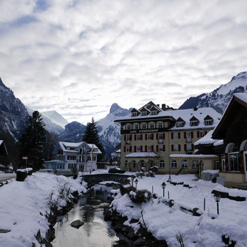 bild4-szenerie bild4-szenerie