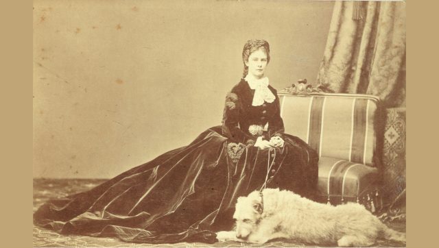 junge-kaiserin-irischer-wolfshund-housegard2-