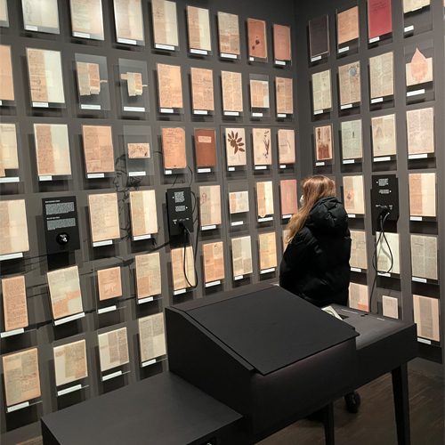 bild5-tatj bild5-tatj