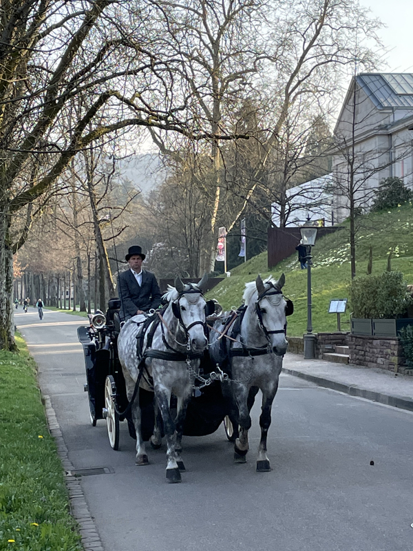 bl_kutsche_lichtentaler_allee_sm bl_kutsche_lichtentaler_allee_sm