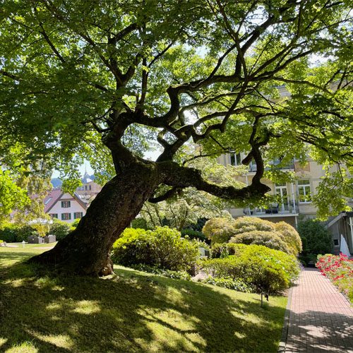 hotel_am_sophienpark_park hotel_am_sophienpark_park