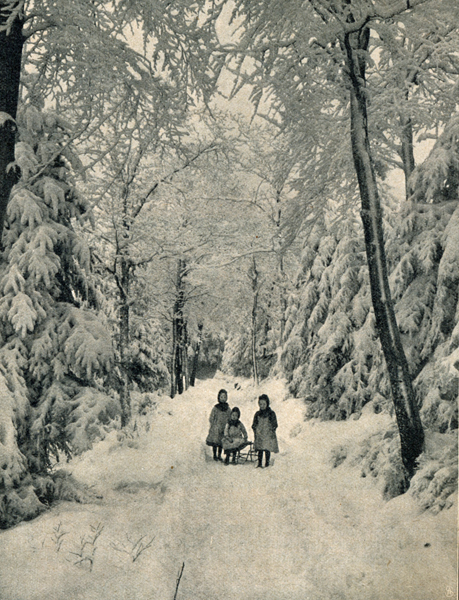 gl-09-s.-1064-madchen-im-winterwald-sm