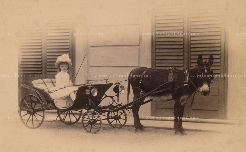 herzoginelisabethvonoesterreich_mitkutsche herzoginelisabethvonoesterreich_mitkutsche