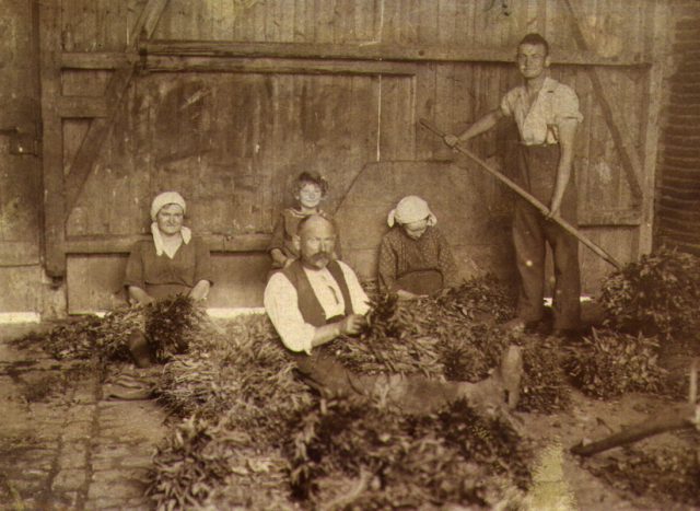 025_kirchstr_pfefferm_ 025_kirchstr_pfefferm_