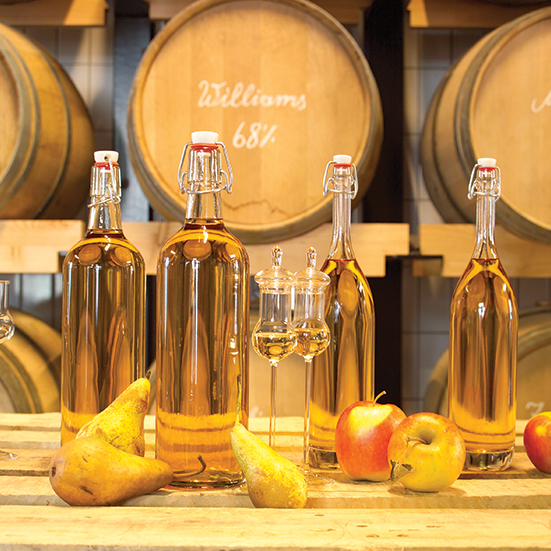 prinz-schnaepse-tipp-bild1