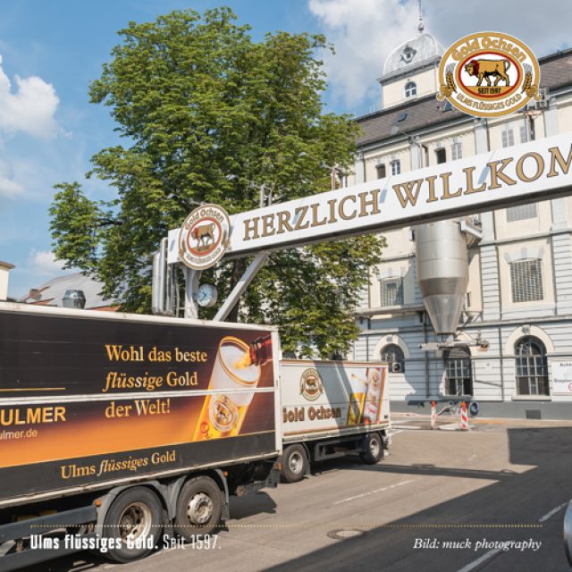 gold-ochsen-eingang- gold-ochsen-eingang-