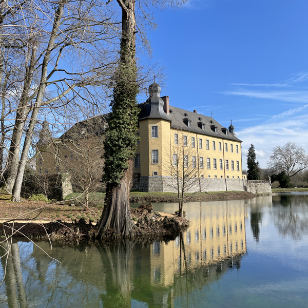 schloss-dyck-bild1_8078 schloss-dyck-bild1_8078